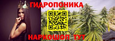 ГАЛЛЮЦИНОГЕННЫЕ ГРИБЫ Краснознаменск