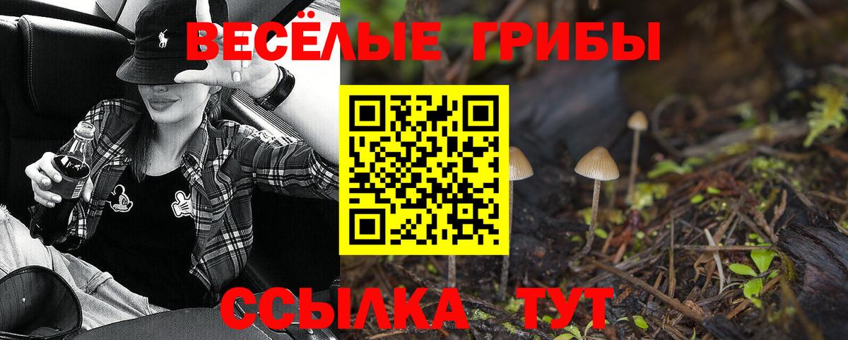 Псилоцибиновые грибы мицелий  Галлюциногенные грибы MAGIC MUSHROOMS  Вход с VPN  Жигулёвск 
